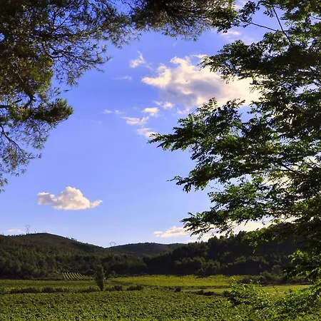 D'hotes Chateau De Jonquieres 4* Narbonne
