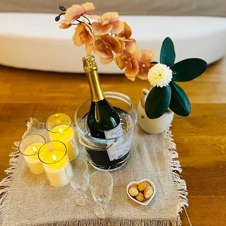 D'hotes Balneo Chateau De Jonquieres 4* 纳博讷